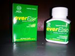 Harga Ever E