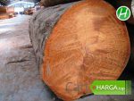 Harga Kayu Bengkirai