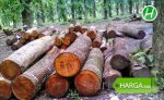 Harga Kayu Mahoni