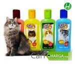 Harga Sampo Kucing