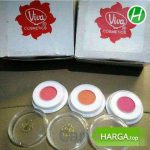 Harga Blush On Viva