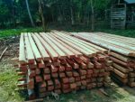 Harga Kayu Glugu