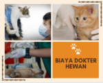 Gambar dan Harga Biaya Dokter Hewan terbaru