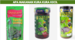 Apa Makanan Kura Kura Kecil