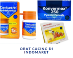 Obat cacing di Indomaret