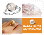 Harga 1 Butir Mutiara Asli