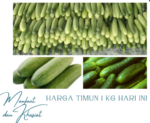 Harga Timun 1 Kg Hari ini