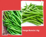 Harga Buncis 1 kg