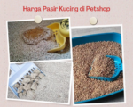 Harga Pasir Kucing di Petshop