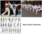 Biaya Latihan Taekwondo