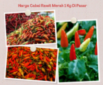 Harga Cabai Rawit Merah 1 Kg Di Pasar